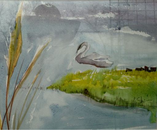 PHOTO-2018-05-07-06-06-43