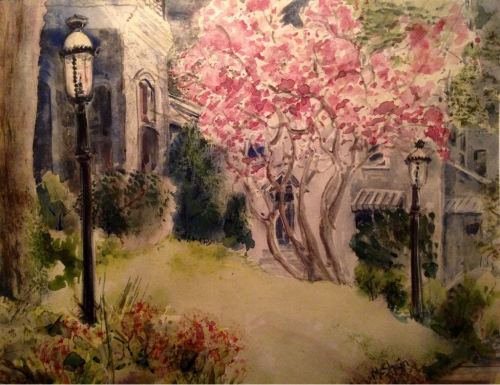 PHOTO-2018-05-08-06-55-07